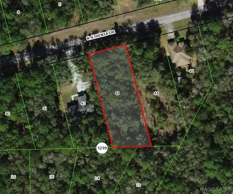 10202 N Athenia Dr, Citrus Springs, FL 34434