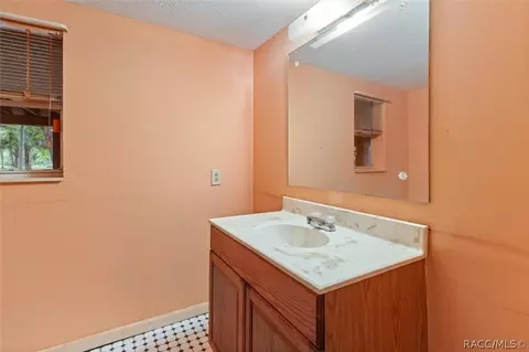 Bath - 7237 N Nature Trl, Hernando, FL 34442 photo 6 of 6