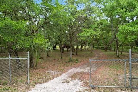 View/Area - 7237 N Nature Trl, Hernando, FL 34442 photo 3 of 12