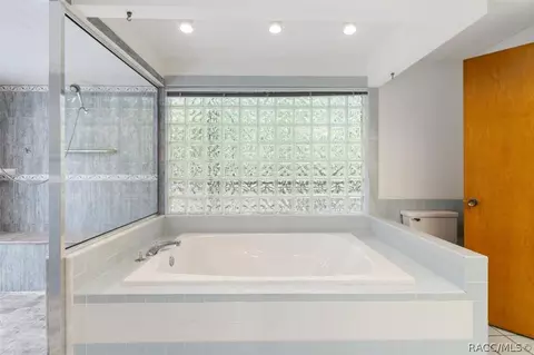 Bath - 7237 N Nature Trl, Hernando, FL 34442 photo 4 of 6