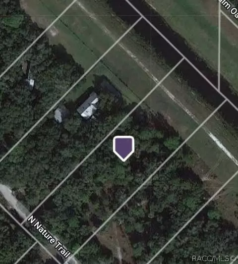 View/Area - 7237 N Nature Trl, Hernando, FL 34442 photo 12 of 12