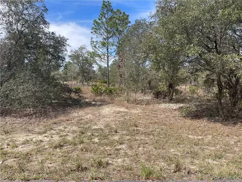 6668 N Grayton Ter, Citrus Springs, FL 34433
