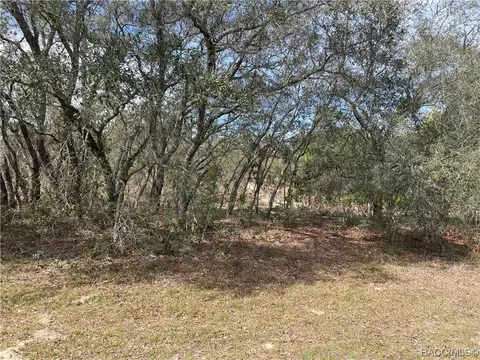 6656 N Grayton Ter, Citrus Springs, FL 34433
