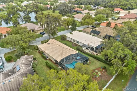 View/Area - 1136 W Beagle Run Loop, Hernando, FL 34442 photo 3 of 13