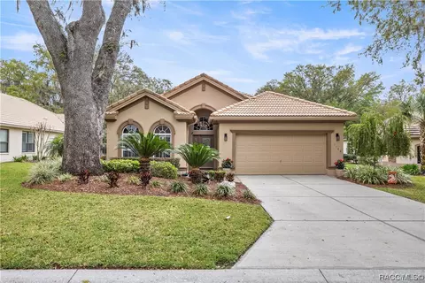 Exterior - 1136 W Beagle Run Loop, Hernando, FL 34442 photo 4 of 35