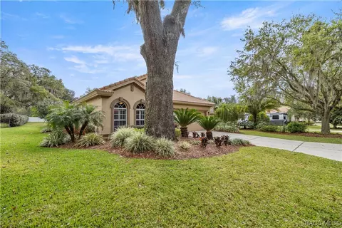 Exterior - 1136 W Beagle Run Loop, Hernando, FL 34442 photo 20 of 35