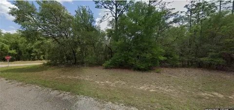 11183 N Vesta Pt, Citrus Springs, FL 34434