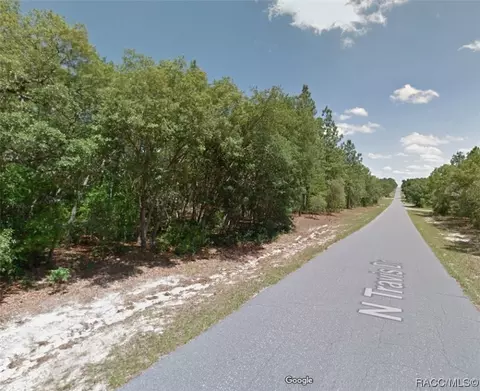 9170 N Travis Dr, Citrus Springs, FL 34434