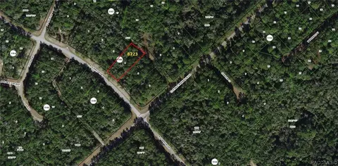8723 N Alameda Dr, Citrus Springs, FL 34434
