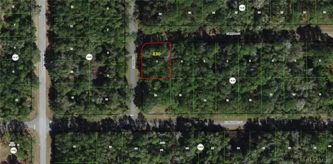 830 E Jenson St, Citrus Springs, FL 34434