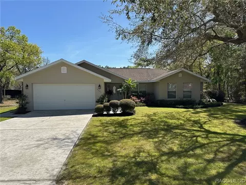 9209 N Alizarin Way, Citrus Springs, FL 34434