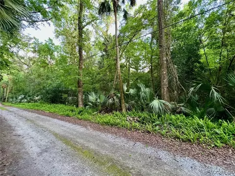 9346 E Sleepy Oak Ct, Inverness, FL 34453