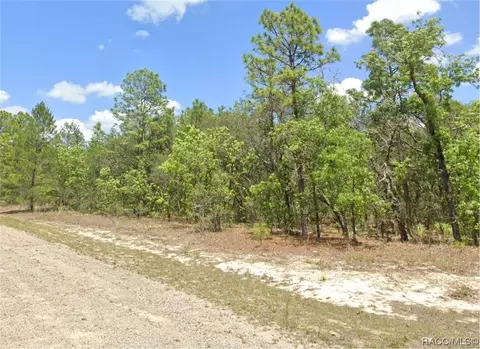 9809 N Swanee Ter, Citrus Springs, FL 34433