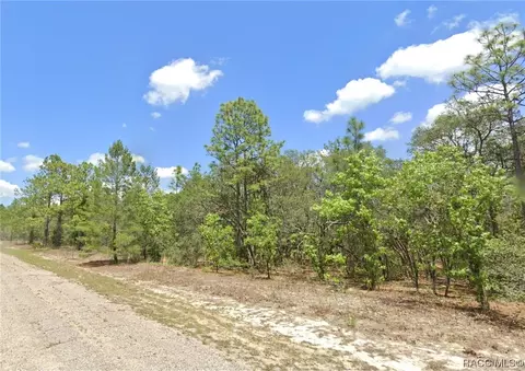 9825 N Swanee Ter, Citrus Springs, FL 34433