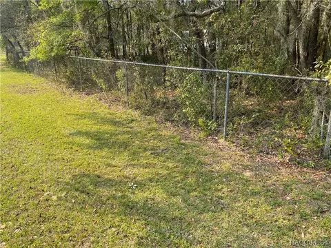 899 E La Salle St, Hernando, FL 34442 photo 6