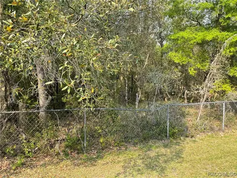 899 E La Salle St, Hernando, FL 34442 photo 7
