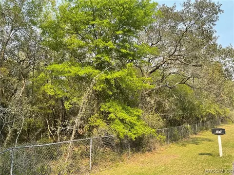 899 E La Salle St, Hernando, FL 34442 photo 8