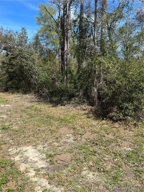 2101 W Most Ln, Citrus Springs, FL 34434
