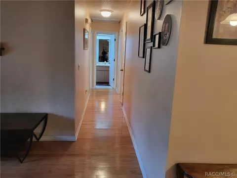 7119 N Croton Pt, Hernando, FL 34442 photo 11