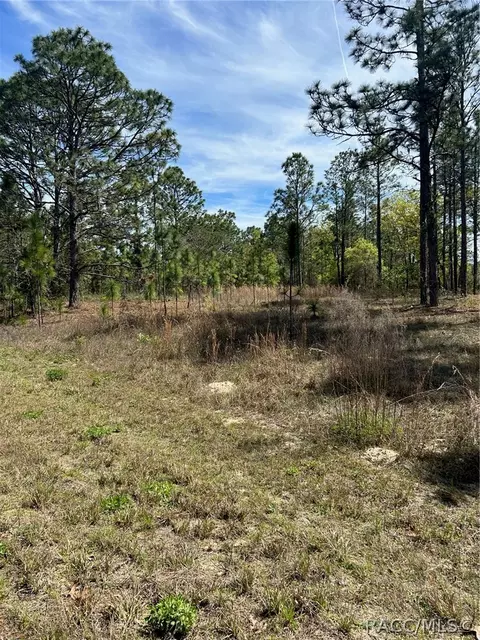 2032 W Corrine St, Dunnellon, FL 34434