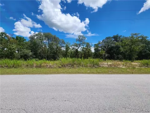 Tbd SW Viburnum Road, Dunnellon, FL 34431