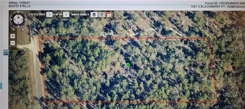 7097 S Blackberry Pt, Homosassa, FL 34446