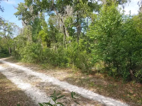 5041 S Sandspur Pt, Homosassa, FL 34446