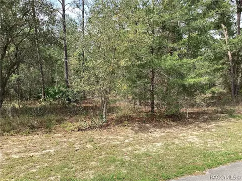 10 Floribunda Ct, Homosassa, FL 34446