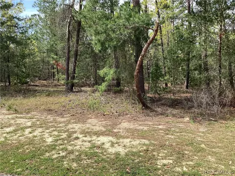 8 Floribunda Ct, Homosassa, FL 34446