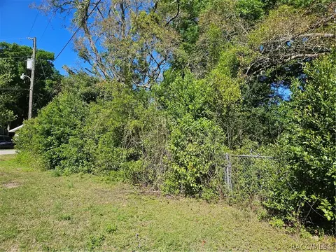 2176 W Beach Plum Dr, Citrus Springs, FL 34434