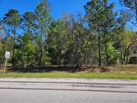 9427 N Athenia Dr, Citrus Springs, FL 34434