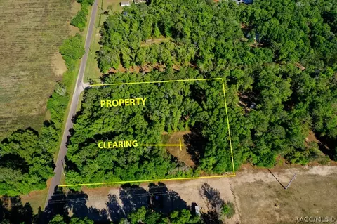 12740 S Moonraker Ter, Floral City, FL 34436