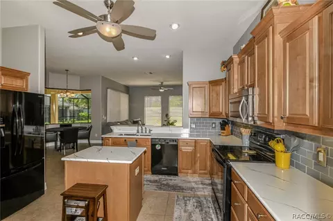 1816 W Quail Meadow Ct, Hernando, FL 34442 photo 3