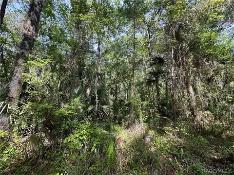 0 E Indian Oaks Ct, Hernando, FL 34442 photo 2