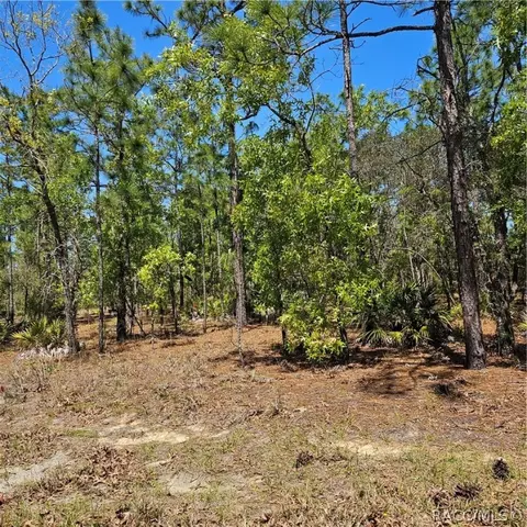 8 Eugenia Ct W, Homosassa, FL 34446