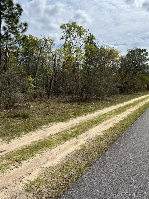 6733 N Varsity Ave, Citrus Springs, FL 34434
