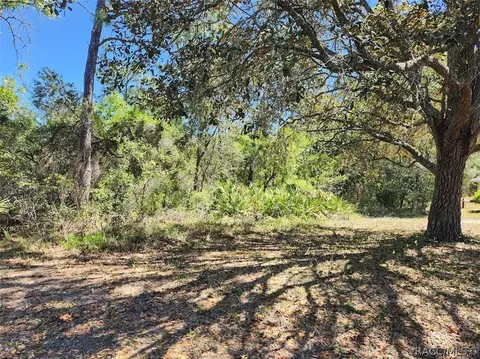 9 Cupania Ct, Homosassa, FL 34446
