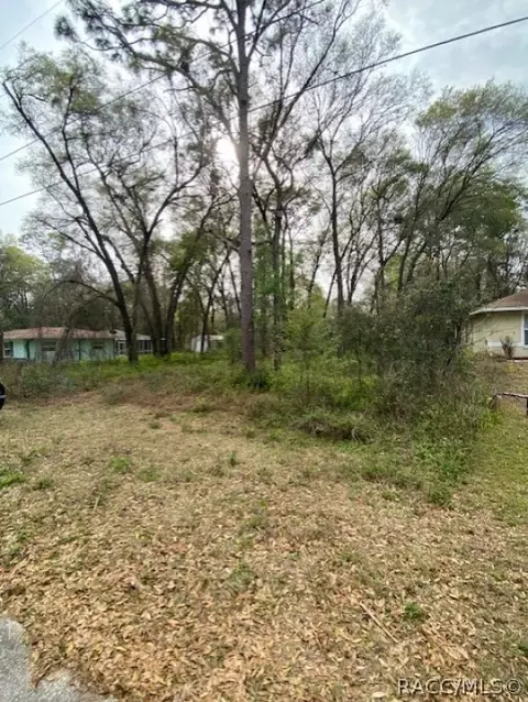3366 S Dayton Ter, Inverness, FL 34452