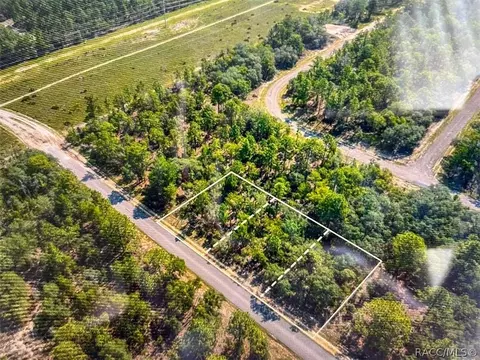 6755 N Varsity Ave, Citrus Springs, FL 34434