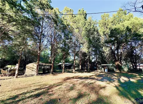 19849 SE 110th Ct, Inglis, FL 34449 photo 16