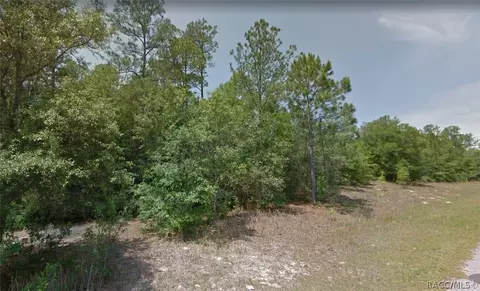 10382 N Biltmore Ter, Citrus Springs, FL 34434