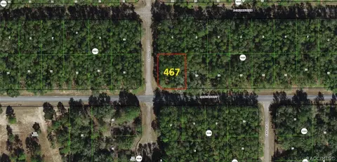 467 E Kingsdale St, Citrus Springs, FL 34434