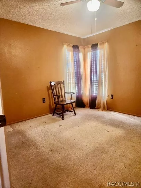 Other - 9744 Eldridge Rd, Spring Hill, FL 34608 photo 11 of 16