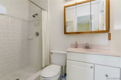 Bath - 4263 Bellaire Dr, Hernando Beach, FL 34607 photo 2 of 3