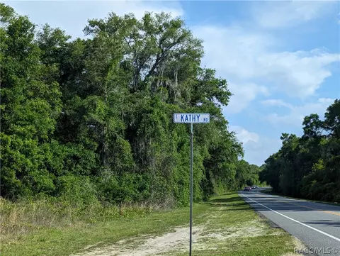 4794 N Peg Pt, Hernando, FL 34442 photo 44