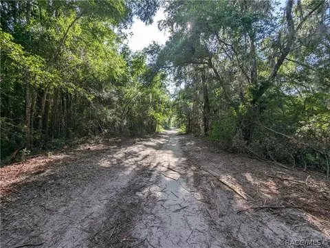 4794 N Peg Pt, Hernando, FL 34442 photo 39