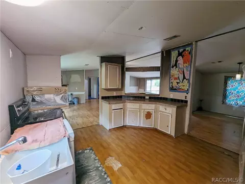 4794 N Peg Pt, Hernando, FL 34442 photo 7