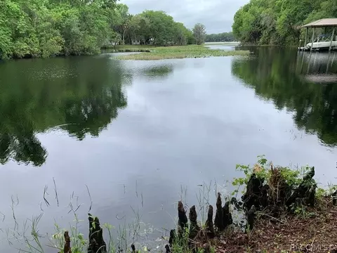 1450 S Homestead Pt, Inverness, FL 34450
