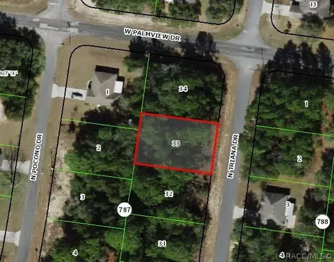 8203 N Triana Dr, Citrus Springs, FL 34434