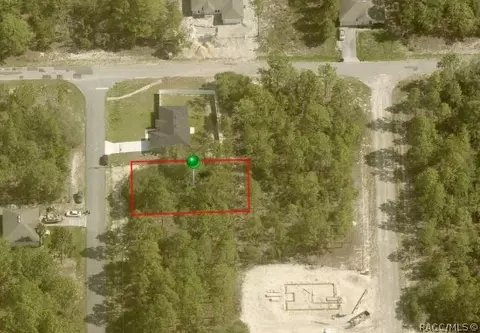 9919 N Santee Ter, Citrus Springs, FL 34434
